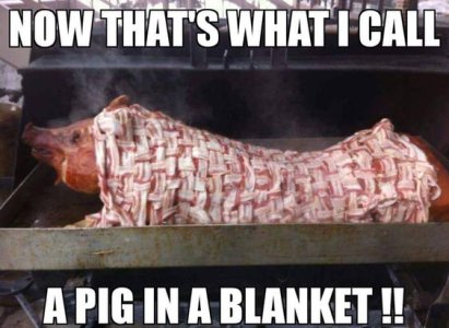 Pig in a blanket.jpg