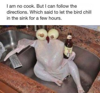 Turkey-Chilling-In-The-Sink.jpg