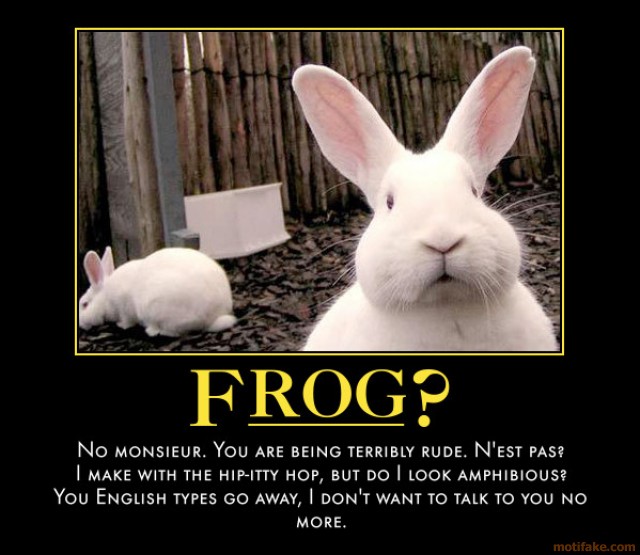frog-you-empty-headed-animal-food-trough-wiper-demotivational-poster-1259458626.jpg