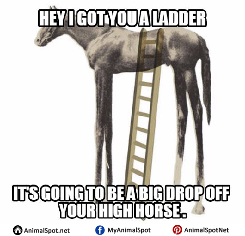High-Horse-Meme.png