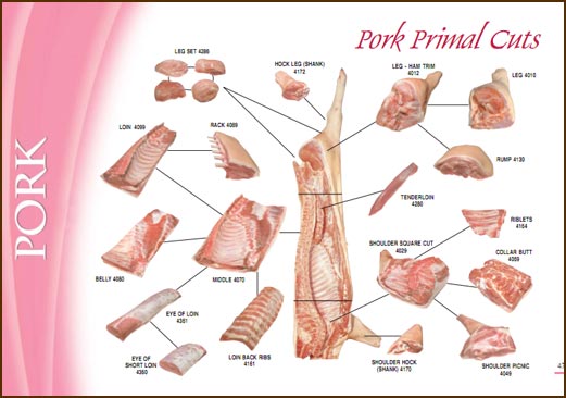 pork-cuts.jpg